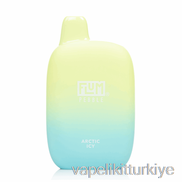 Vape Türkiye Flum Pebble 6000 Tek Kullanımlık Arktik Buzlu